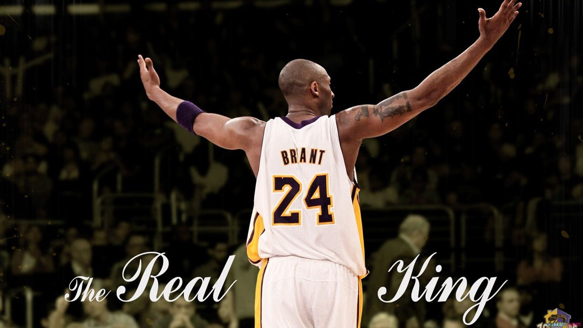 JIU YOU游戏下载平台-大型城市场景跑，运动融入都市生活，城市跑步活动